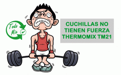 Cuchillas no tienen fuerza thermomix tm21